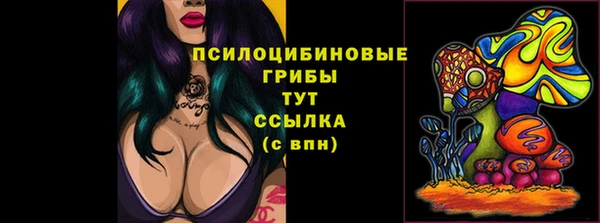 Альфа ПВП Баксан