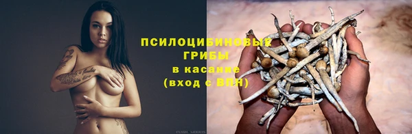 Альфа ПВП Баксан