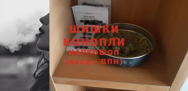 молекула духа Балахна