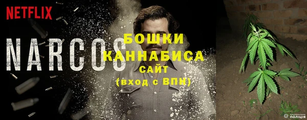 молекула духа Балахна