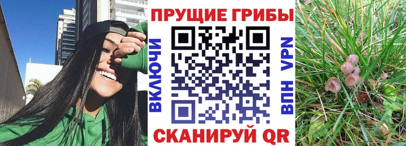 Галлюциногенные грибы Cubensis Семикаракорск