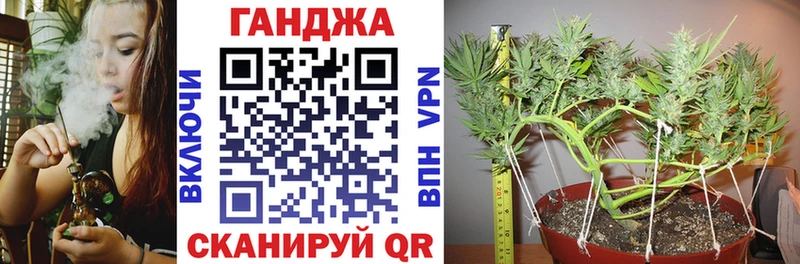 Канабис семена  кракен ONION  Семикаракорск  как найти наркотики 